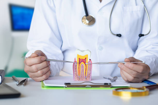 Best Emergency Dentist for Special Needs Patients in Surf City, NC